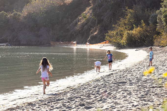 Children playing along a sandy shoreline at a quiet cove, with one child running near the water while others explore at the edge of the bay, surrounded by trees and soft afternoon light.